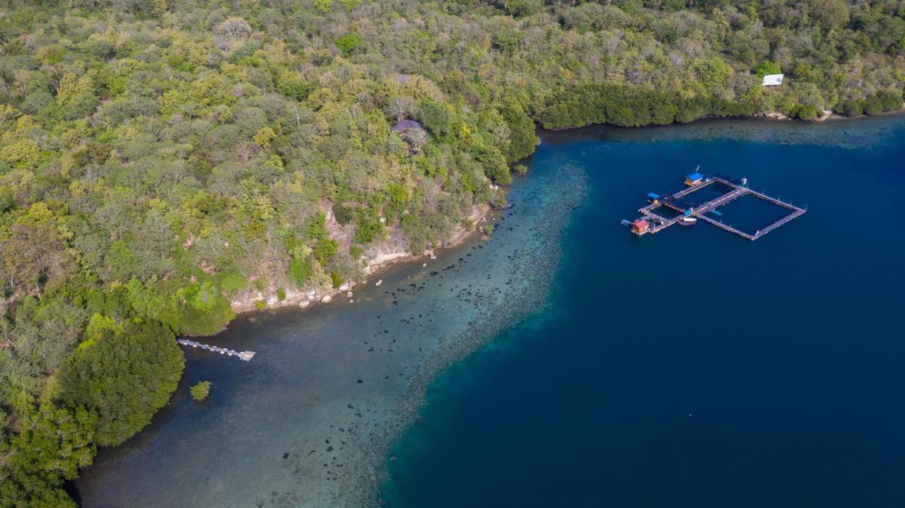 Menjangan Ecolodge - Chse Certified Banyuwedang Екстер'єр фото
