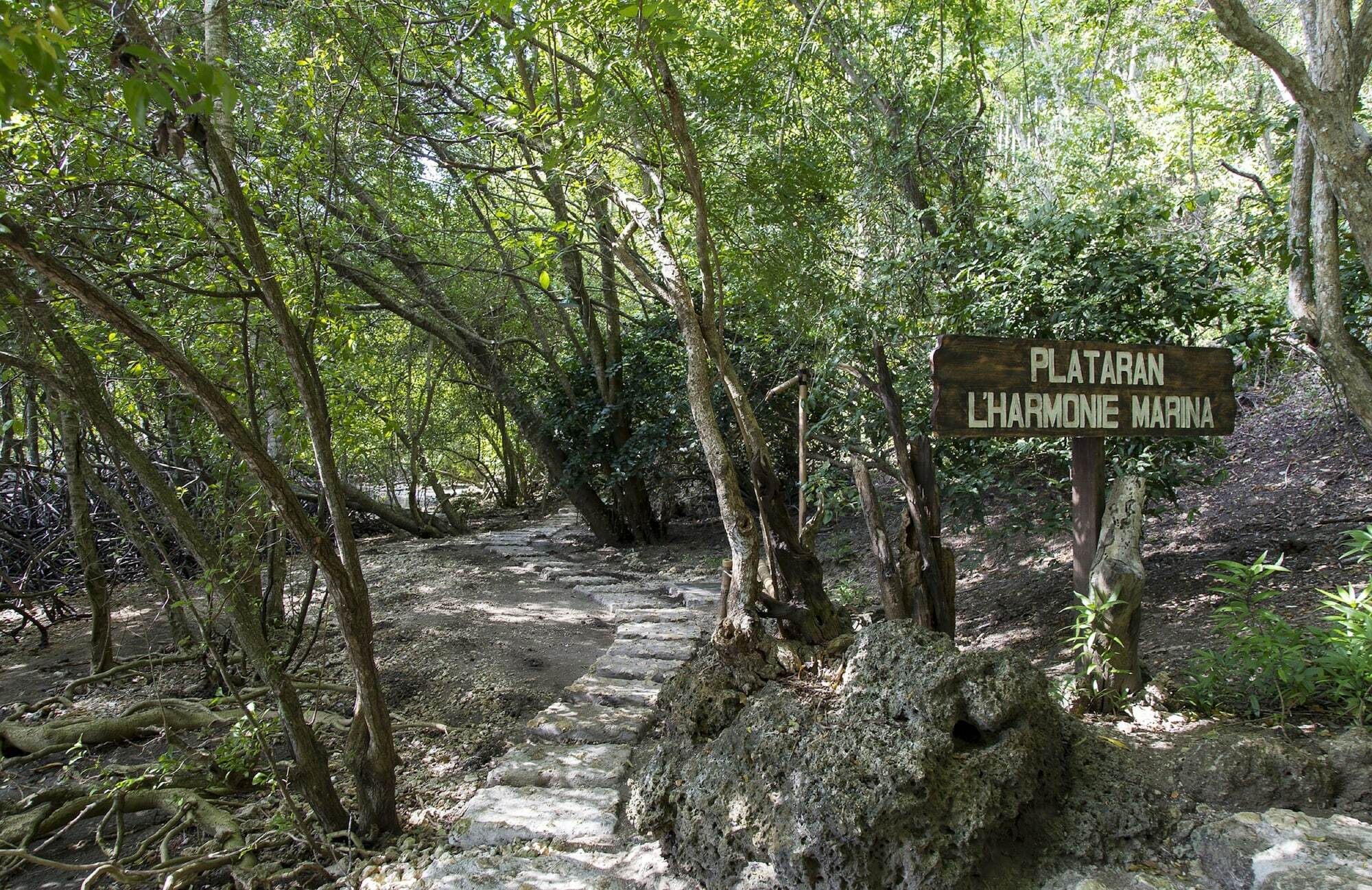 Menjangan Ecolodge - Chse Certified Banyuwedang Екстер'єр фото
